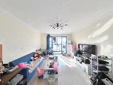 徐汇锦梅苑电梯3房,南北全明户型,小区位置好,业主诚意出售