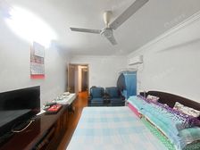 新上!中间楼层,南北小两房,全明,看房方便!