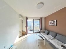 江南星城(二期) 2室2厅 南