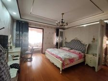 600平全明奢享 大花园映活水秘境 精装5年正藏风华