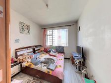 双阳卧,精装修,小高层,带