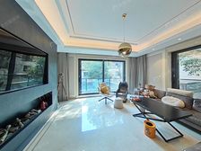 当代艺墅 罕见独栋 精装修 带泳池