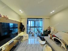 新上业主诚意出售,高区景区采光视野好 徐家汇禾心 近D铁公园