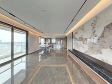 三江口 成熟地段 三里江印 大平层249平顶楼 一览纵山小