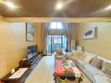 新上徐汇臻园复式好房 有大院子 房东诚意卖