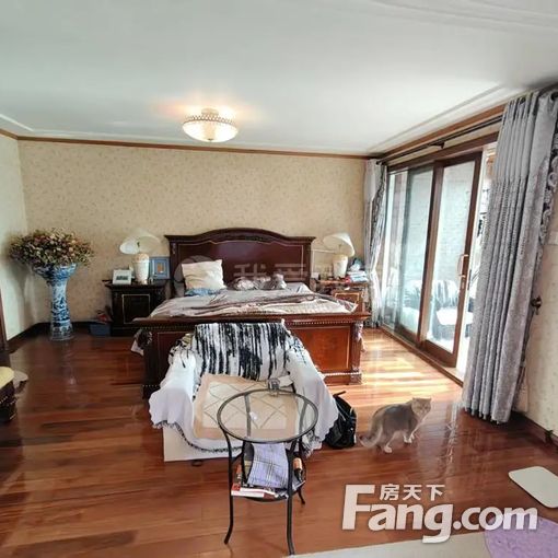  ���⡤��Ȼͤ����Ȼ������3�ҡ�2�� 