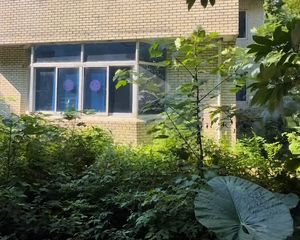 白云山庄独栋别墅 1-2F 位置很好:临河,花园超250平