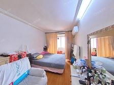 上.外和大.同,耀江居委,双南两房,自住装修,采光不挡