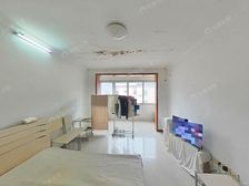 梅陇·罗阳东四村·1室·1厅