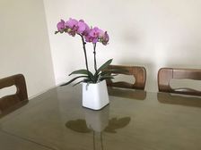 市中心 改善小区 九洲新世界君玺 精装修 赠8平 低价出售