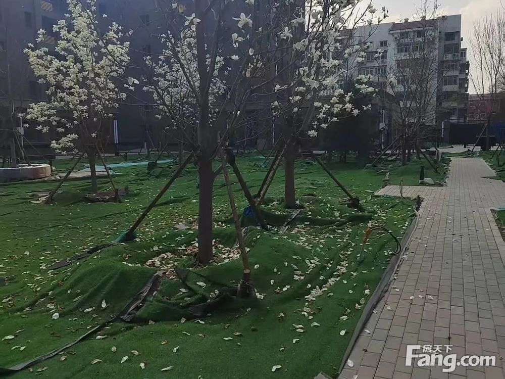 小区相关图