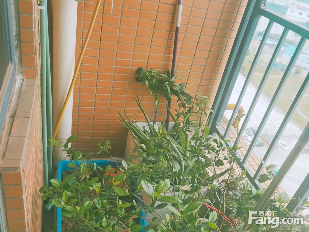 室内图