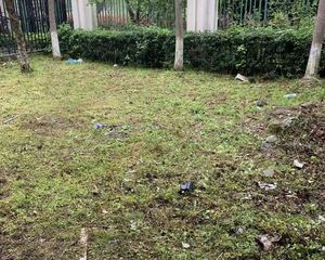青林湾二期联排别墅,东边套,位置好临小河,278平私家花园