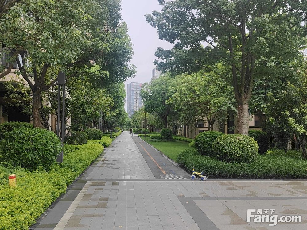 小区图