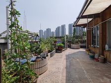 100平屋顶花园 明华龙洲半岛 洋房电梯顶跃 上证138平