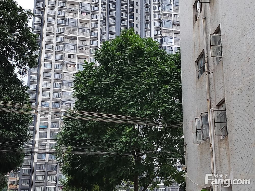 小区图