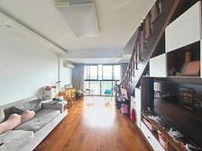 高行·复式·4室·3厅露台加阁楼