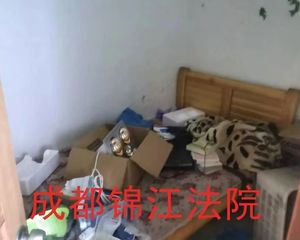 急83万仅契税近地铁可按揭!新源巷9号1