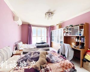 新上 太阳宫 精装南 西两居 满五91平