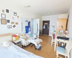 海悦公馆 1室1厅 精装修