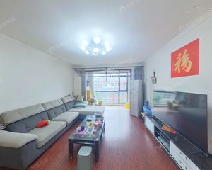 海淀+2009年板楼电梯洋房+满五+落地阳台+明卫+次顶