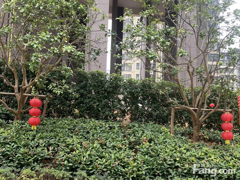 小区图