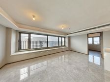 三条口、万象城旁、凤凰楼层、含车位、位置好