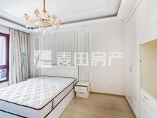 1室1厅蓝堡国际公寓北区