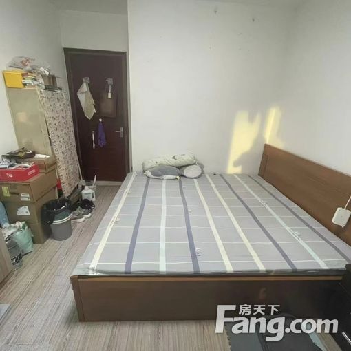  ���ͳ����ھ�װ���� �����ҵ��� �����ŵ��� ���� 