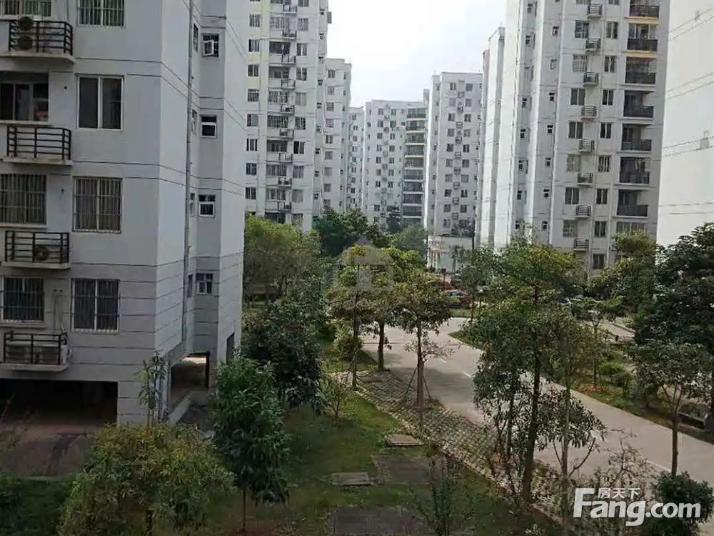 小区图
