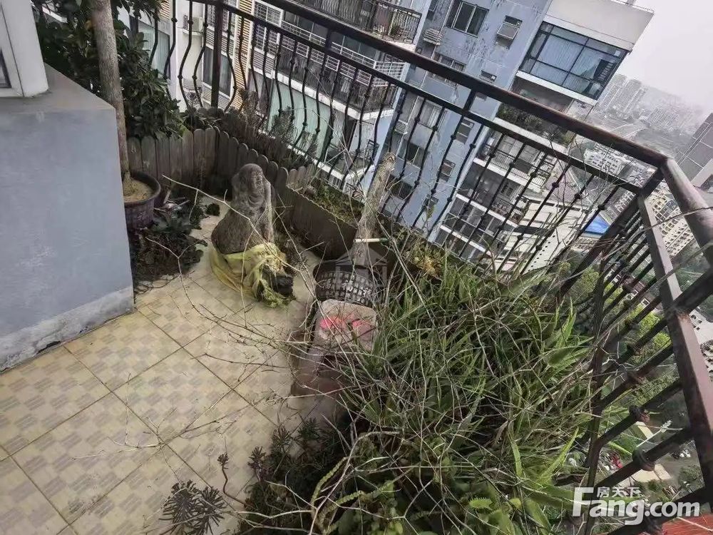 室内图