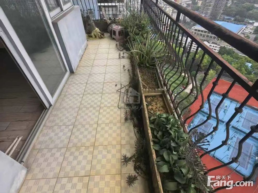 室内图