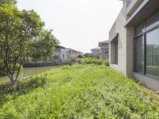 新出临河独栋天安别墅 毛坯 大院子 随时看房