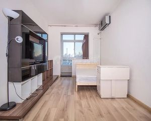 亮马桥·新源南路·2室·1厅 高层电梯房 双南两居