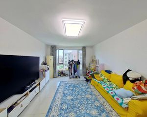 东坝·奥林匹克花园四期次顶层南北通透全明两居