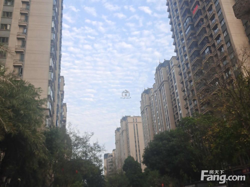 小区图