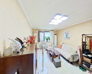 新上!惠新西街惠新南里5号 田字格三居精装修 可停车可公积