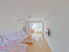 新宫·南庭新苑南区·1室·1厅