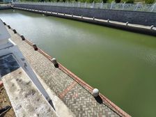 中式独栋别墅平层带大花园临河道江南风格采光好视野好无任何遮挡