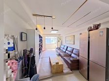 屋顶花园,可种花养草吃烧烤,复式四居,左家庄等你来!