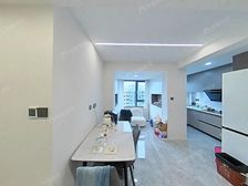 徐汇中环 15年次新房 高高在上 自住精装修 12号线DT口