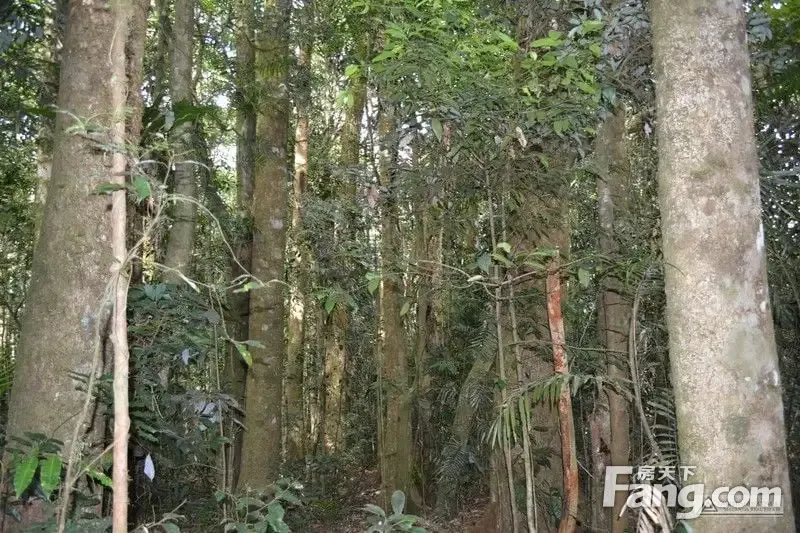 室内图