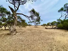 土地出售,Australia