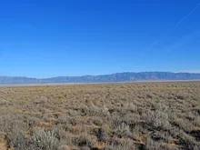 房屋出售,United States