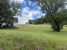 土地出售,United States