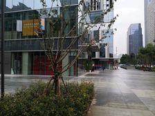 繁华地段 人流攒动 沿街现铺租金高