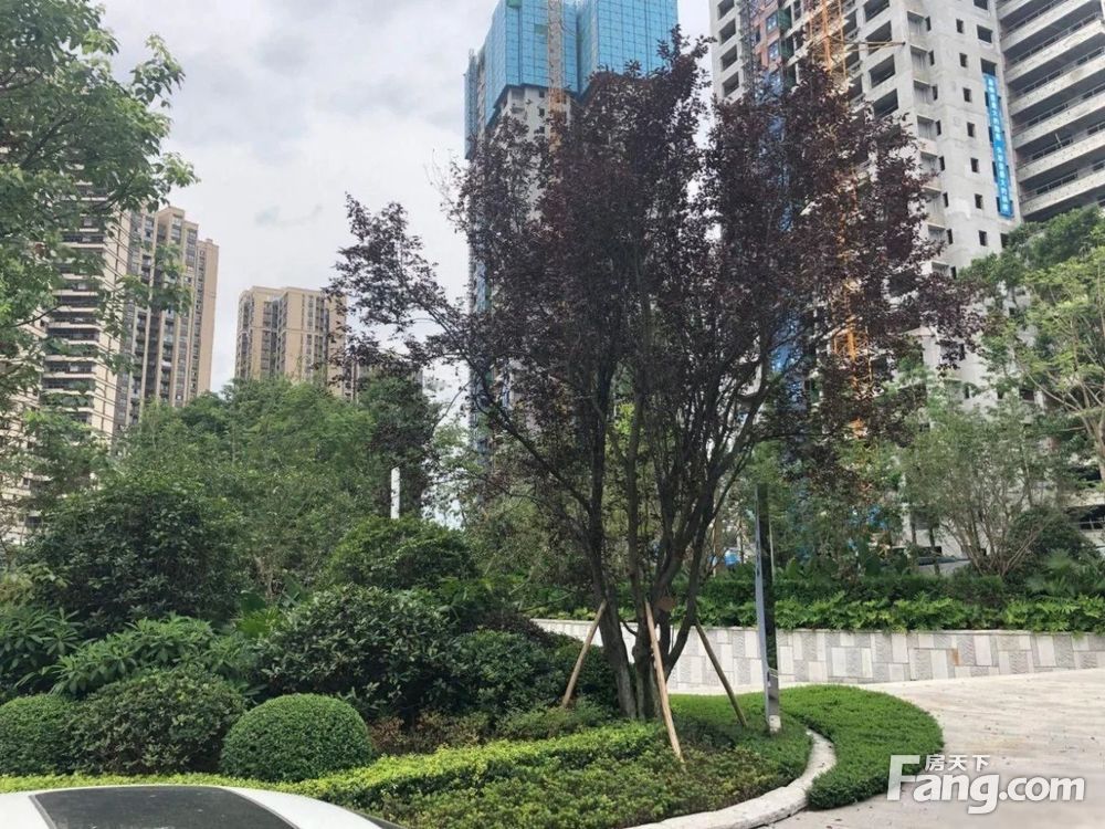实景图