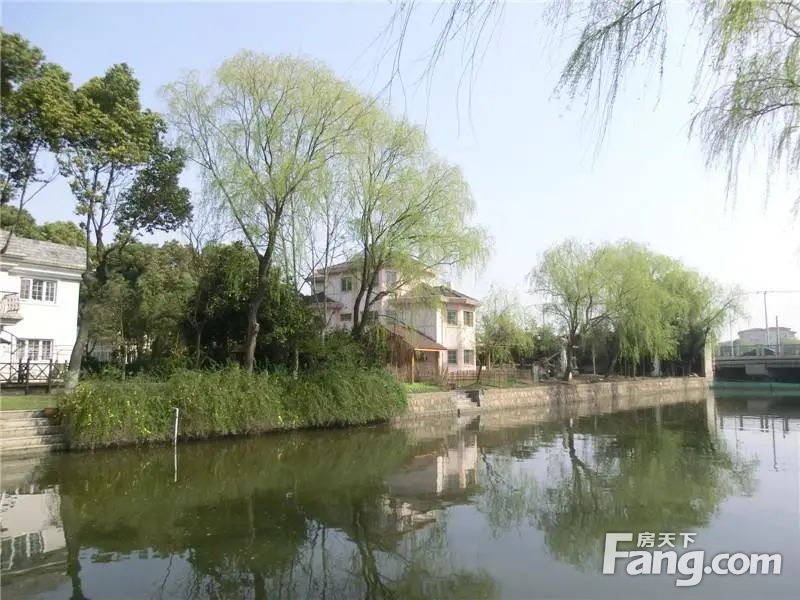 实景图