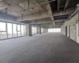 高新区益州大道旁甲写楼盘星辰国际 整层出售