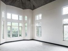 庄园大独栋 带私家游泳池 花园700平 全套房设计